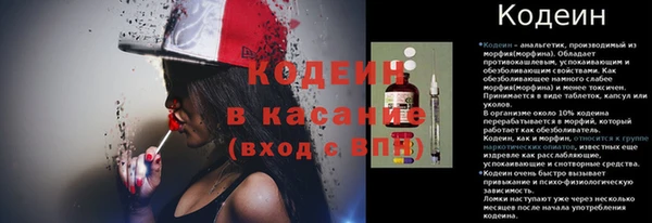 ГАЛЛЮЦИНОГЕННЫЕ ГРИБЫ Белокуриха