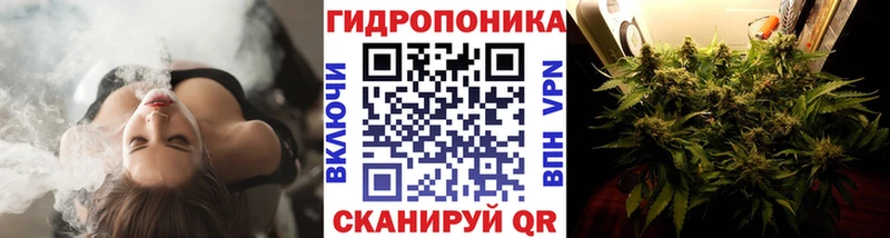 Конопля ГИДРОПОН  Будённовск 